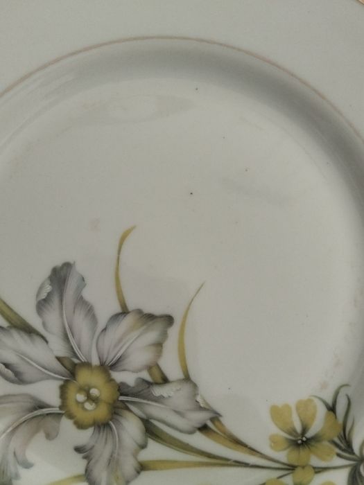 3 pratos sobremesa e caneca Artibus