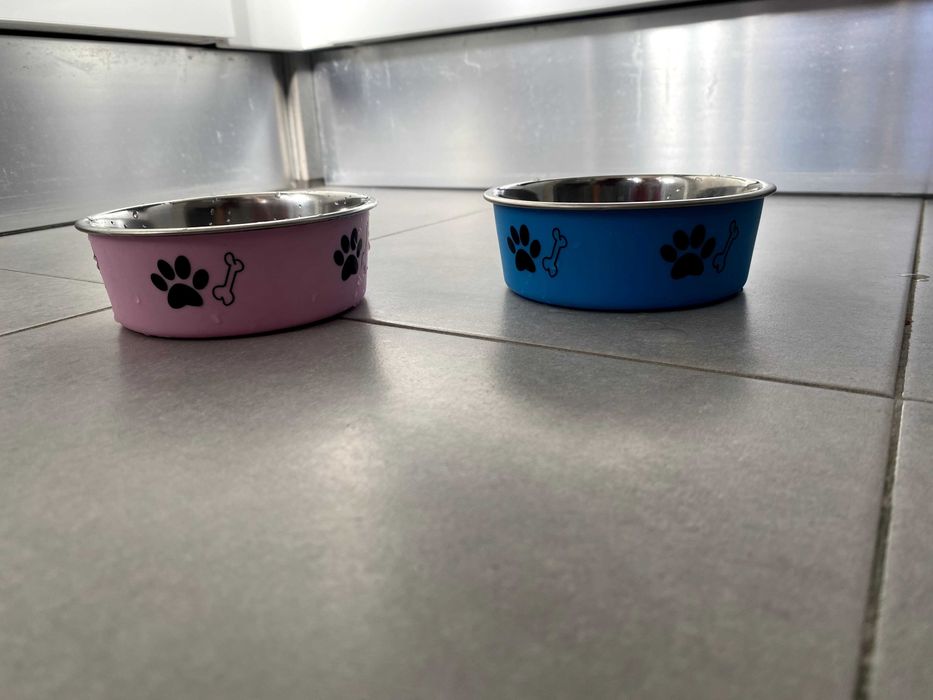 Tigelas de cão antiderrapantes