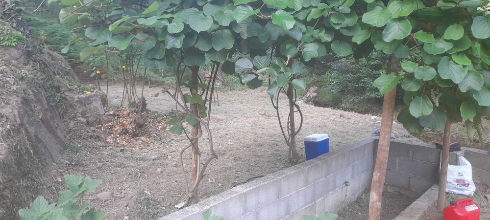 Limpezas de terrenos