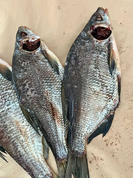 Лящ в'ялений,чищений без ікри