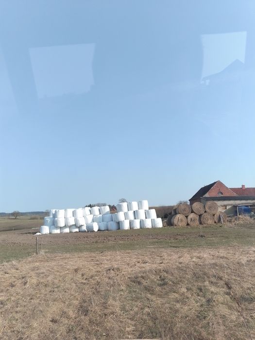 Sprzedam nadmiar sianokiszonki