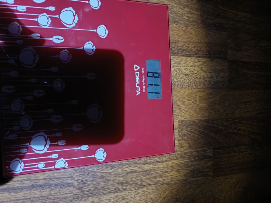 Ваги підлоговi Delfa DS-1201