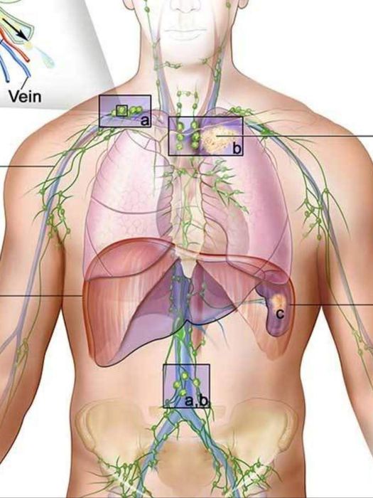 Індивідуальне навчання масажу
