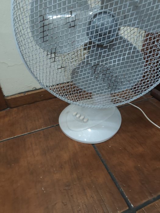 Ventoinha branca