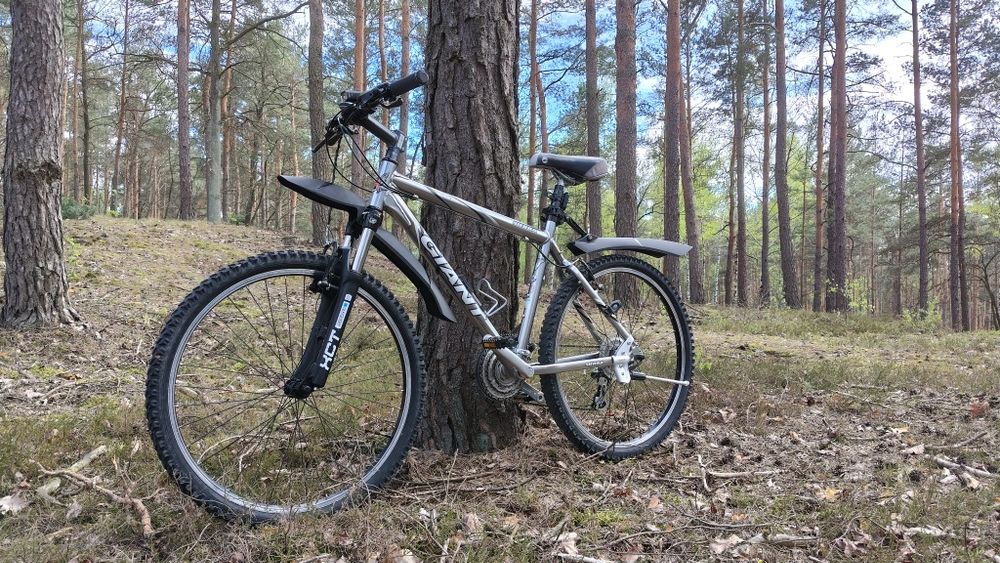 Rower górski GIANT Sierra 26 cali