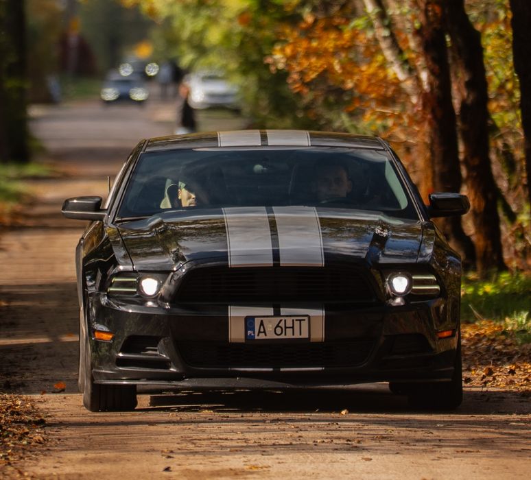 Ford Mustang 2014 MANUAL