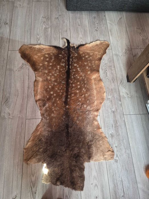 Sprzedam skórę z daniela