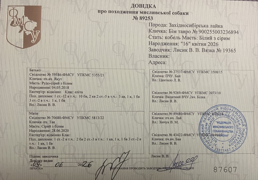 Продаються собачата ЗСЛ