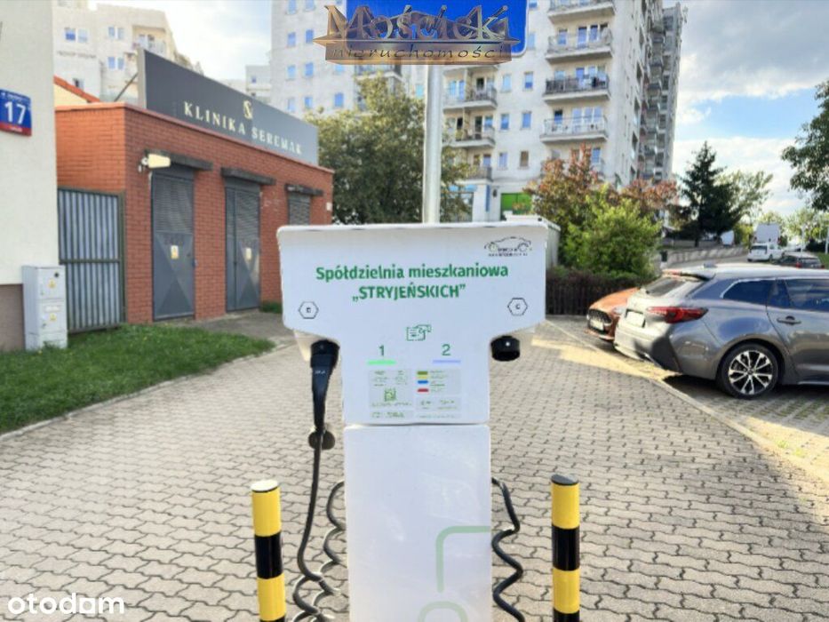 Zdjęcie 6