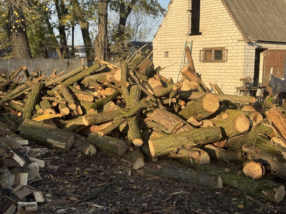 Дрова микс Акация Ясень Берест Клен