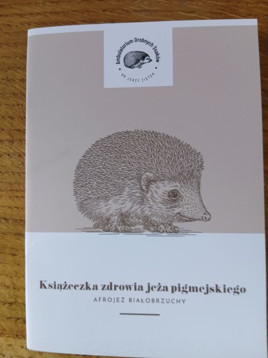 Jeż pigmejski ,młode 8 tyg.