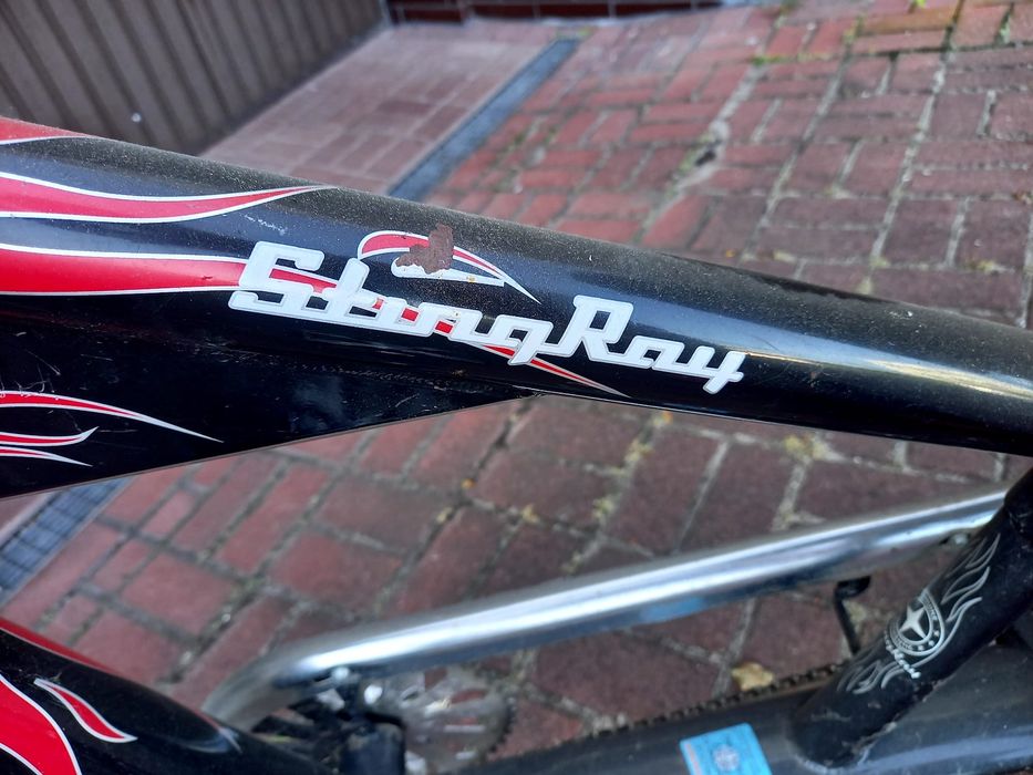 Rower Chopper Sting Ray