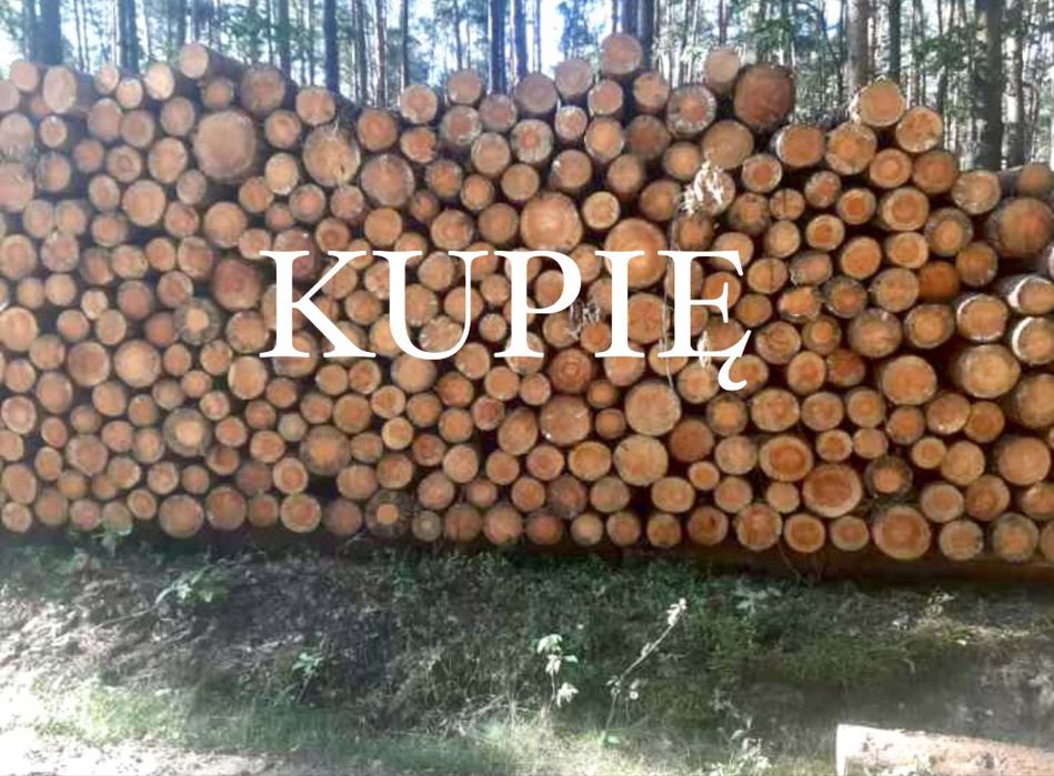 Drewno papierowka S2A S2B sosna świerk brzoza olcha