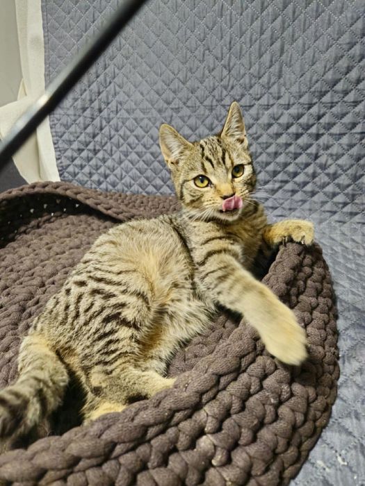 Piekna Mrozia prosi o dom