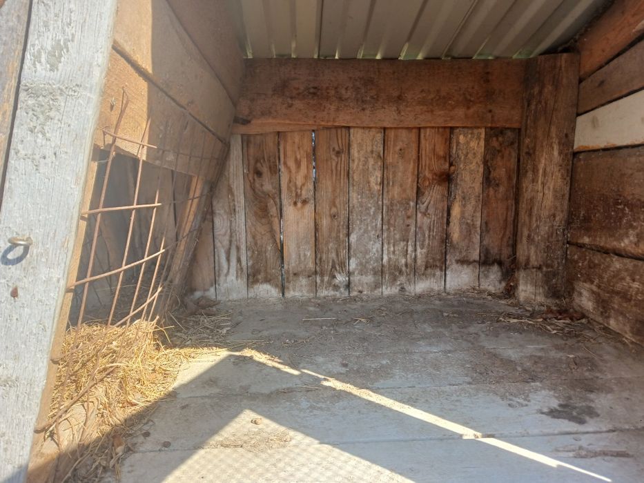 Кролятник на 4 відділи