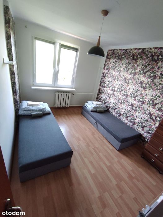 Zdjęcie 5