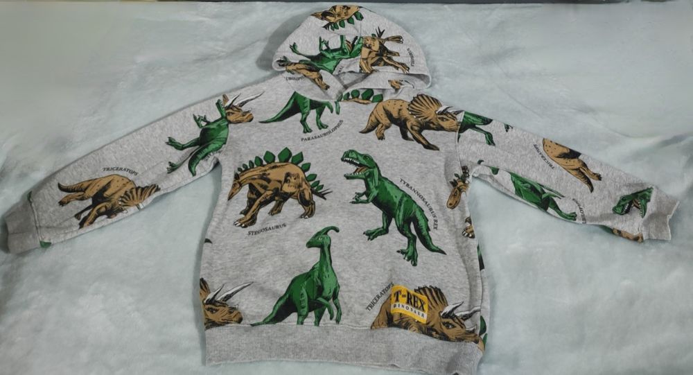 Szara bluza w dinozaury H&M 110/116