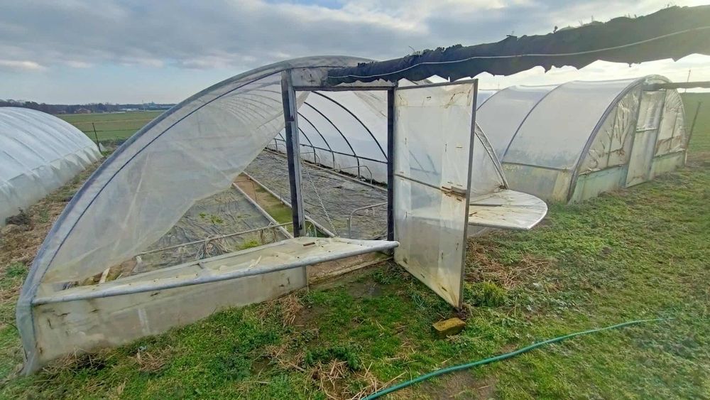 Tunel foliowy 5m x 15m ocynk