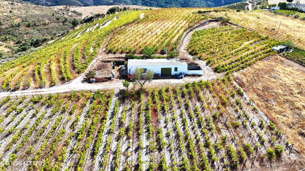Propriedade Agrícola no Coração do Douro com Vinhas de Vinho do Porto,