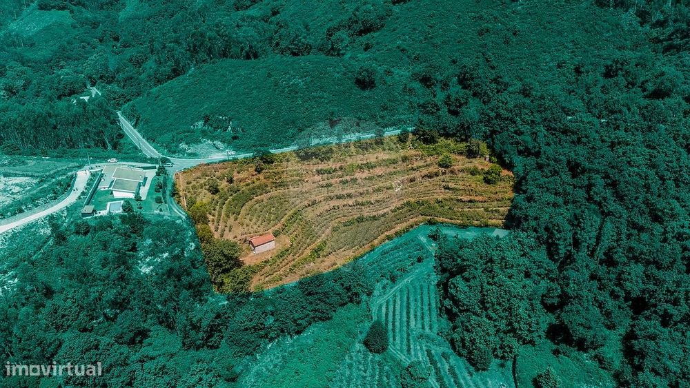 Terreno  para venda