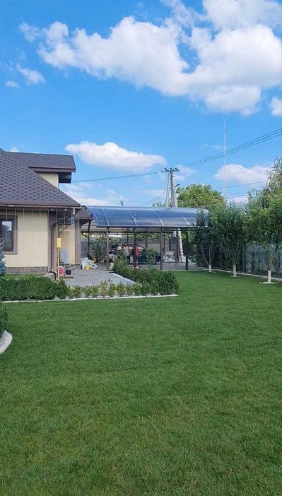 Знижки! Рулонний газон, Газон в рулонах і Посівний газон від Виробника