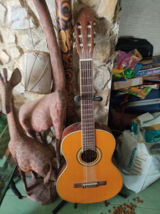 Viola clássica usada