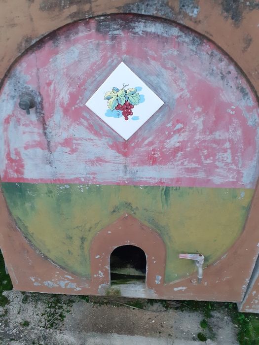 Depositos de vinho