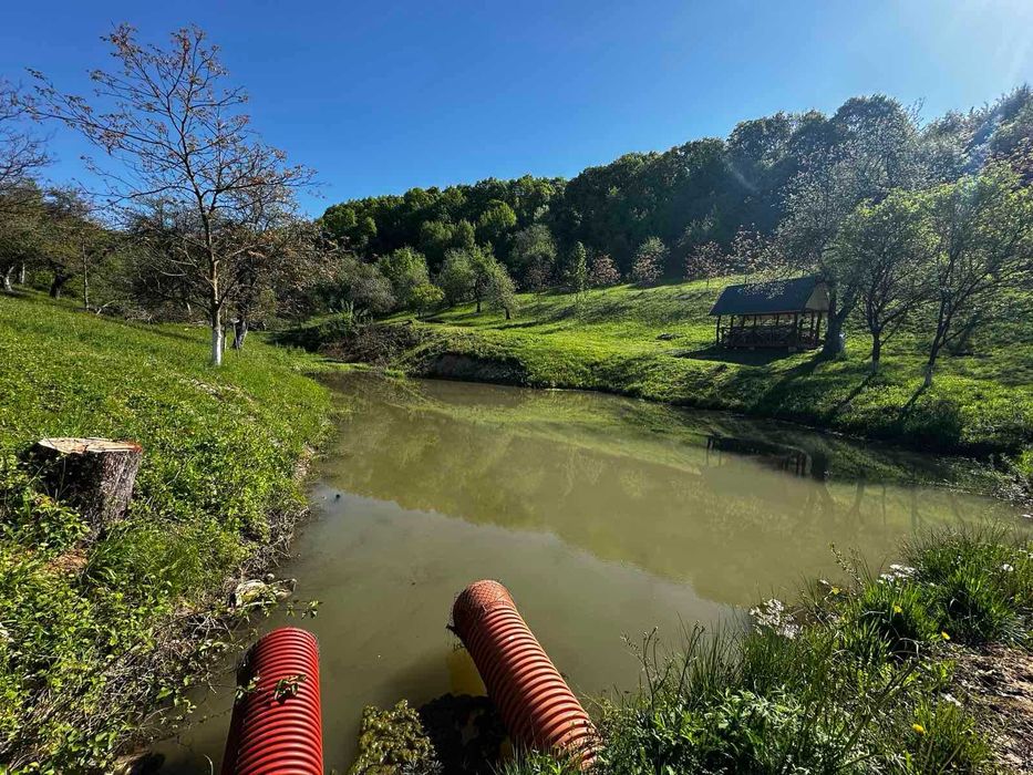 Продається дача в с. Бедевля