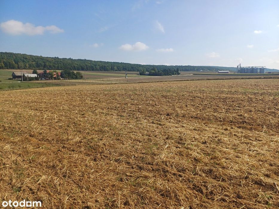 Działki rolne na sprzedaż - Klonów, gm. Racławice