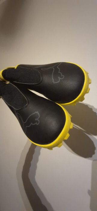 Сороконіжки + щитки в подарунок!