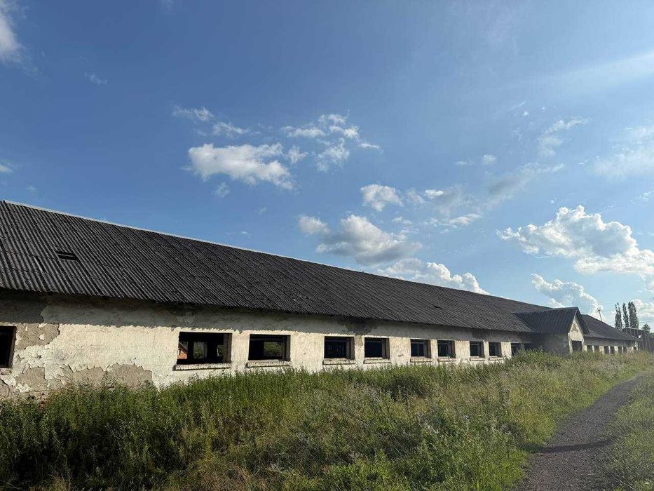 Виробниче приміщення, нежитлове приміщення, телятник, ферма