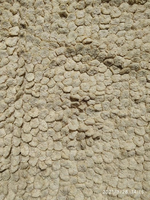 Carpete beje 3,00 x 1,70 mts