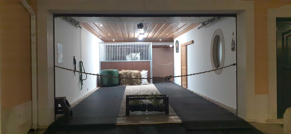 Moradia na Golegã com boxes e terraços