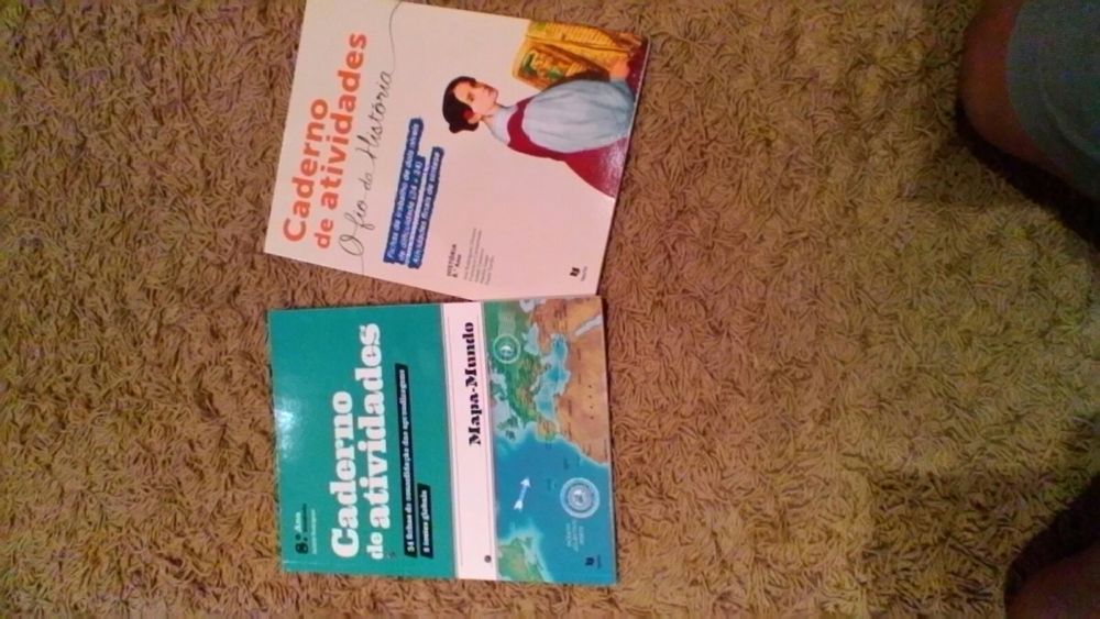 Livros escolares 8°ano de actividades