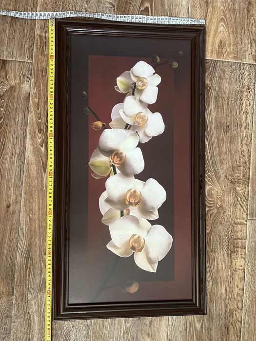 Картини в рамці (друк) модульні картини