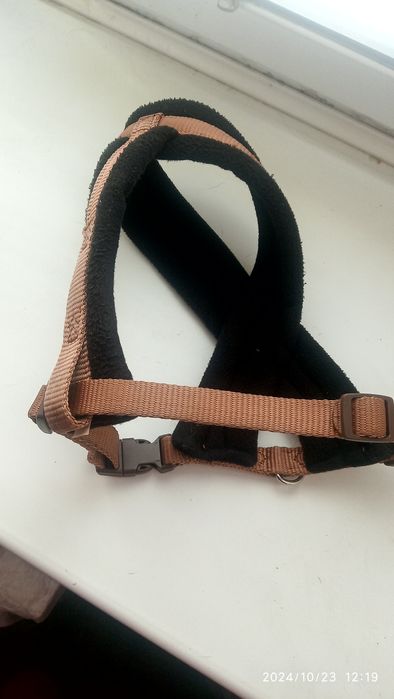 Ошейник для собак