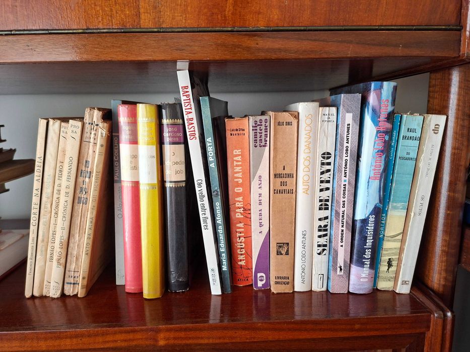 Livros de literatura Portuguesa - Sec XX - Grandes Autores - 22 Livros