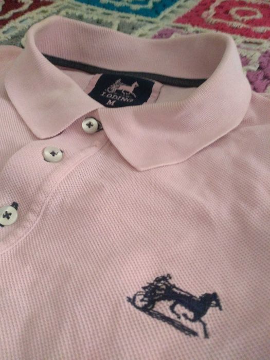 Polos Lacoste, Loding, Springfield e Fred Perry em muito bom estado