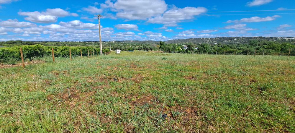 Terreno 4.280m2 Boliqueime a 10min Praia da Falésia