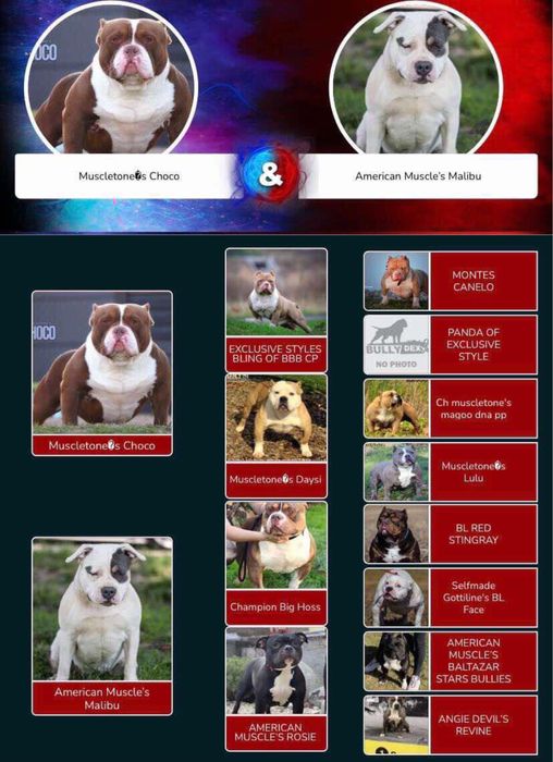 Хто мріє про таку морду?)