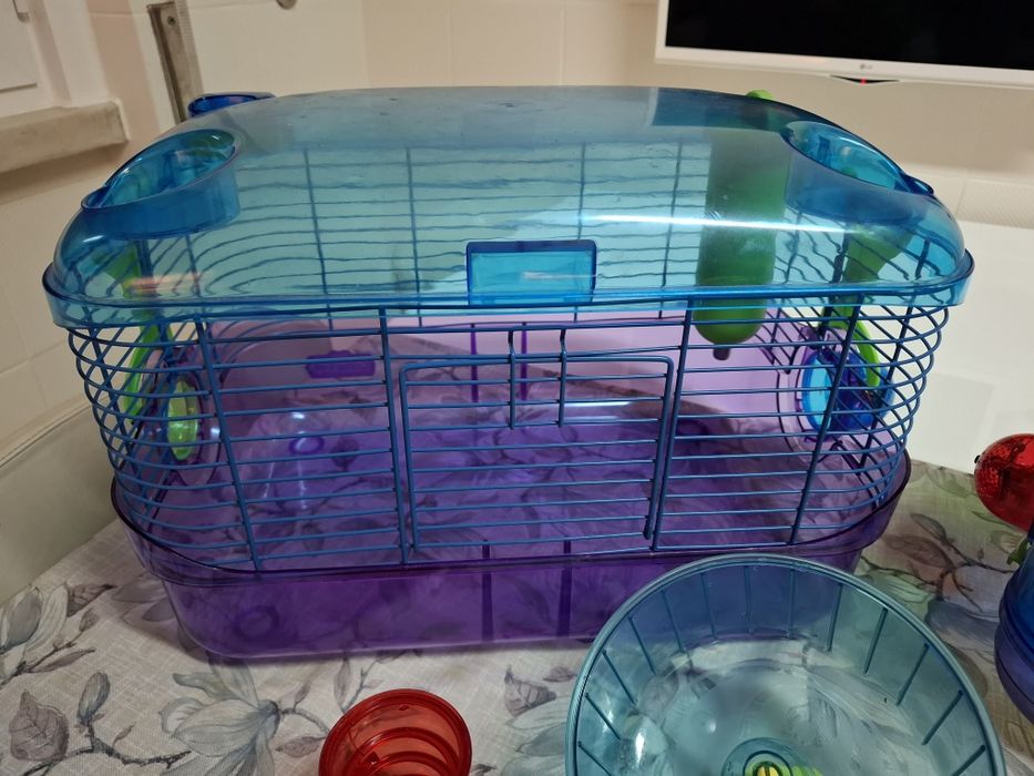 Duas gaiolas para Hamster com vários  acessórios