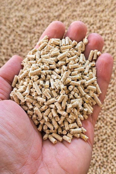 Zanęta 3mm Karp Leszcz Karaś Amur Premium Kukurydza CSL Melasa 5kg