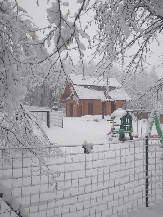 Domek w lesie na wynajem bania, jacuzzi