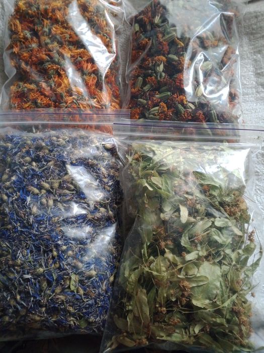 Сухі рослини різні