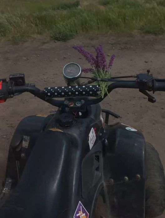 Кавадроцикл ексдрайв