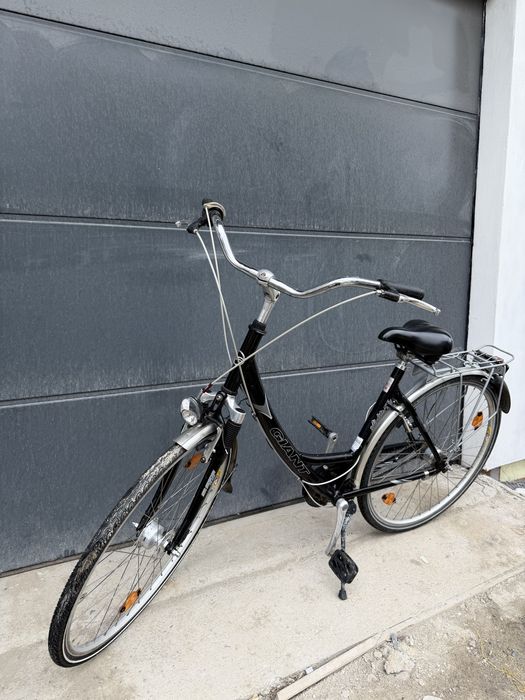 Rower giant alulite se