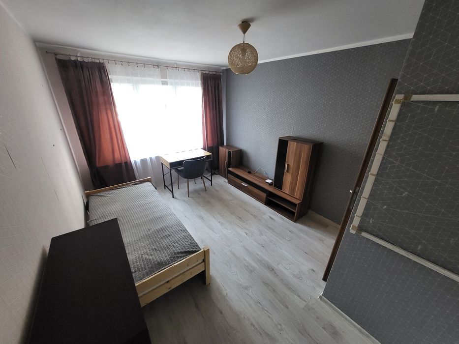 Zdjęcie 5