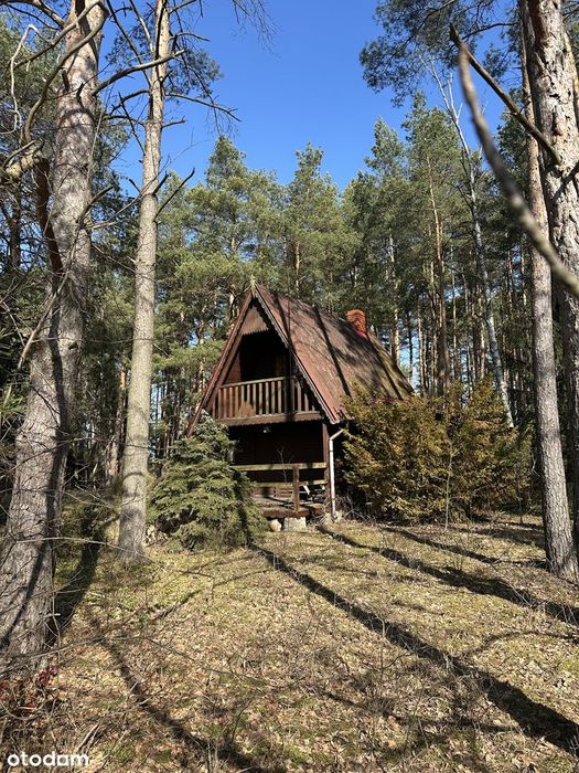 Klimatyczna działka 1620 m² z domkiem w lesie w Kamieńczyku - Rafa