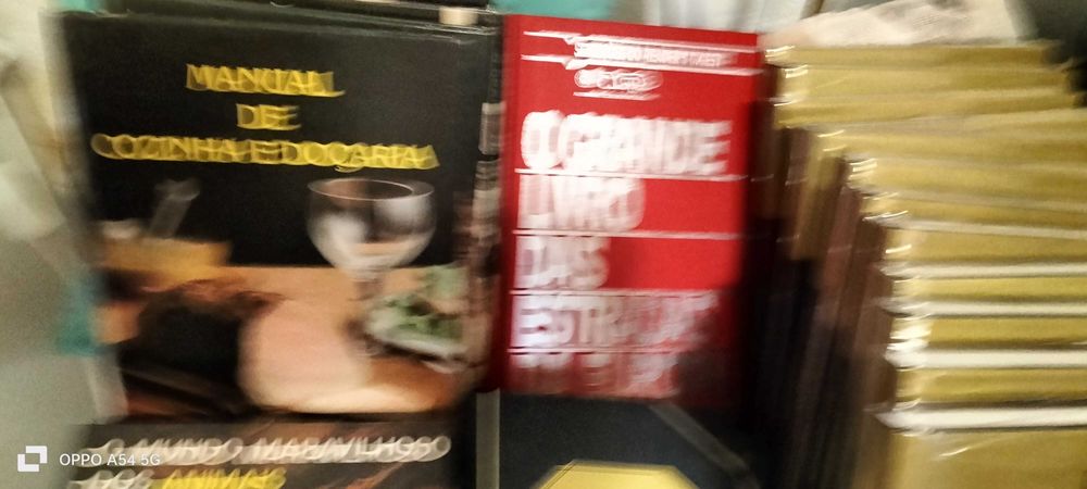 Diversos livros e enciclopédia