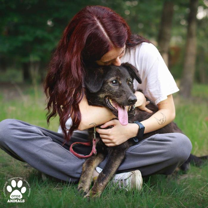 Kochana Daisy poleca się do adopcji!